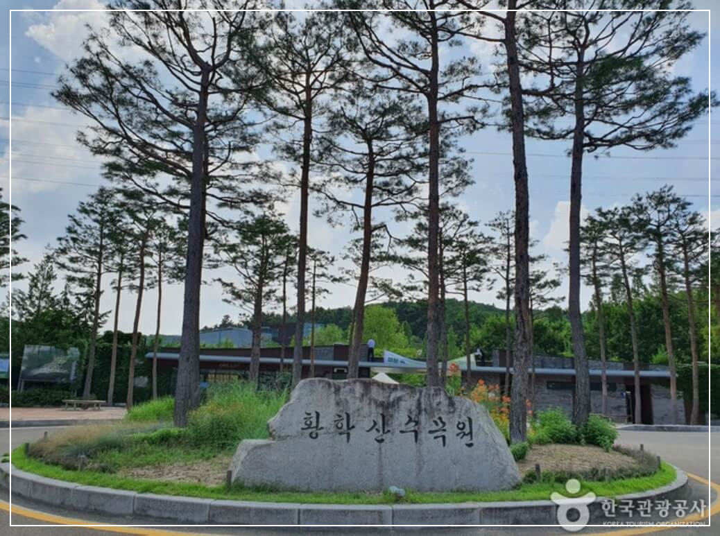 여주 가볼만한곳 베스트10 황학산수목원