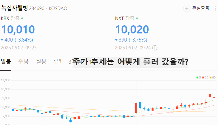 건기식 관련주 대장주 테마주 수혜주 TOP7