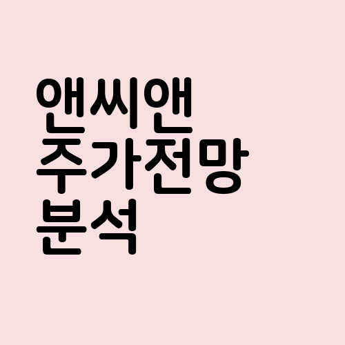 앤씨앤