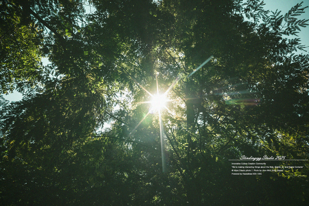 #청주 #오창 #구룡성당 #가톨릭