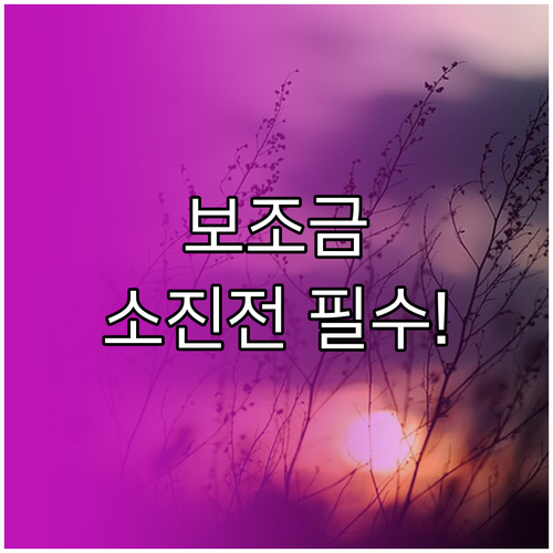 전기차 보조금 예산 소진 대비 전략 ..