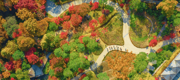 화담숲 취소표 예매