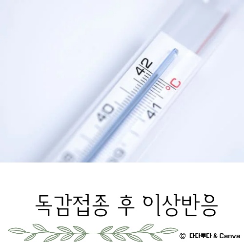 독감 접종후 증상 몸살 열 부으면 이상반응 생기면 신고