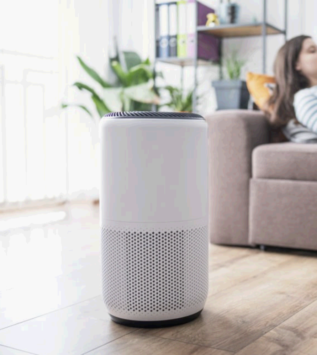 실내 공기 질 향상을 위한 미생물 필터