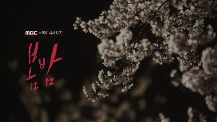 벚꽃이 피어있는 봄밤 사진