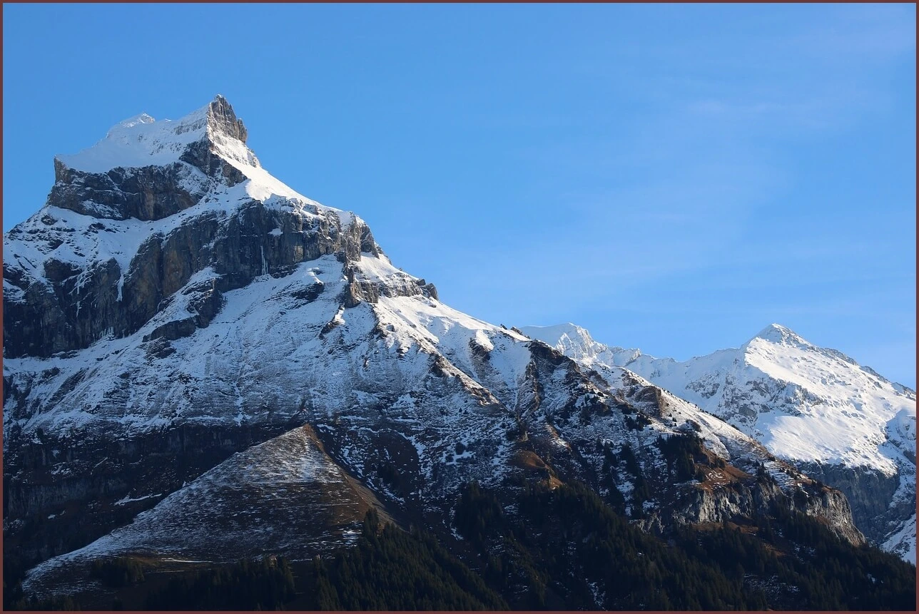 은행 정기예금 금리비교