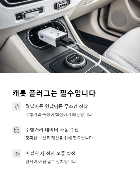 캐롯 플로그는 필수 입니다