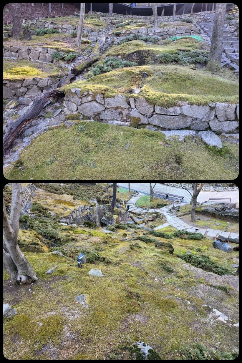 이끼원