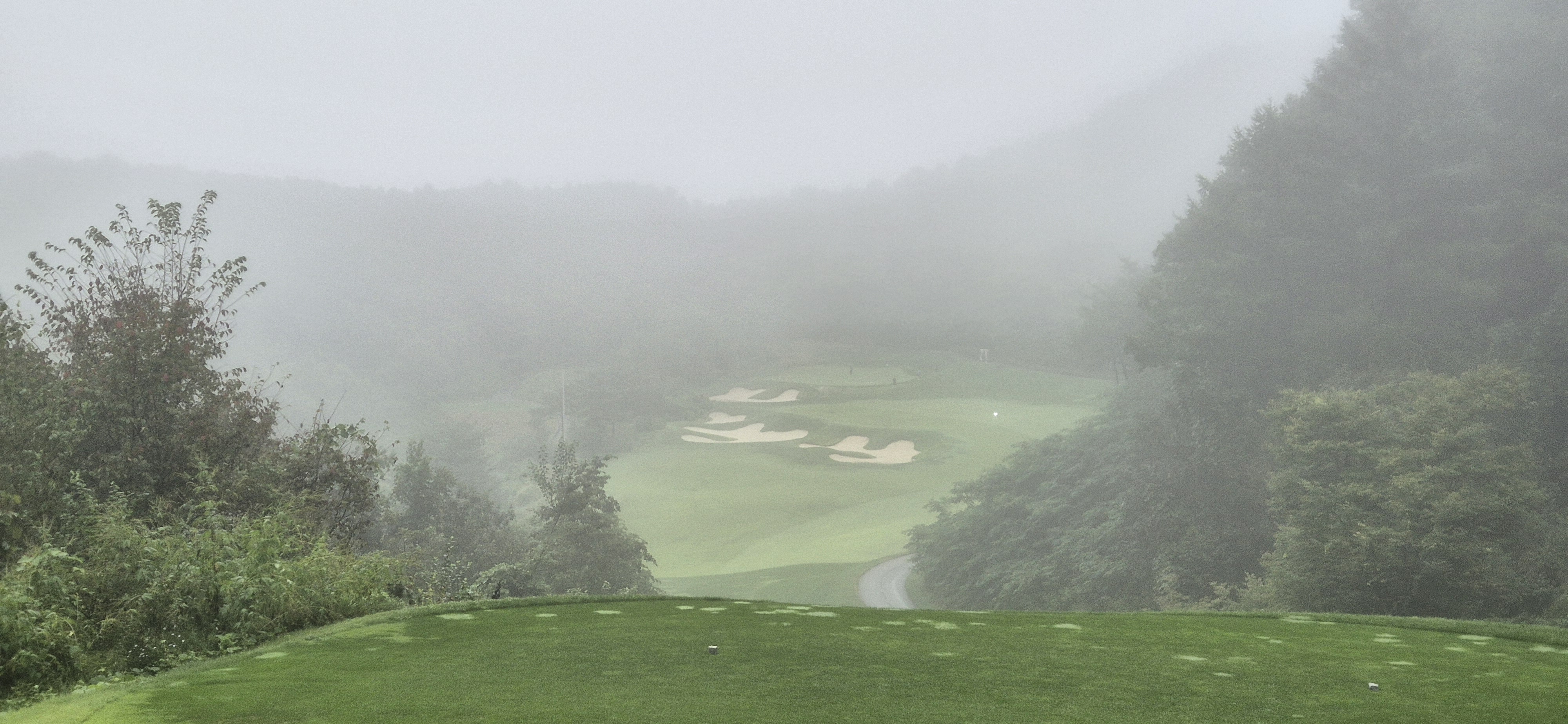 더플레이어스cc