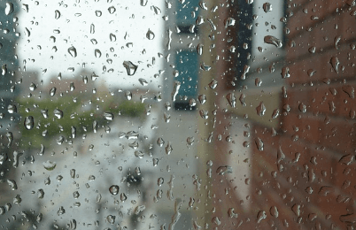 비오는날 자동차 습기 제거 방법