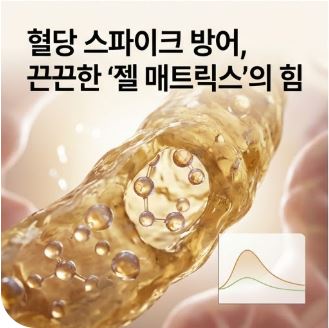 차전자피의 효능
