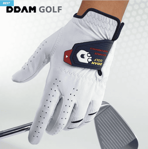 골프장갑 추천 순위 TOP 5(25년 9월) - 네이버, 쿠팡 판매 랭킹 분석