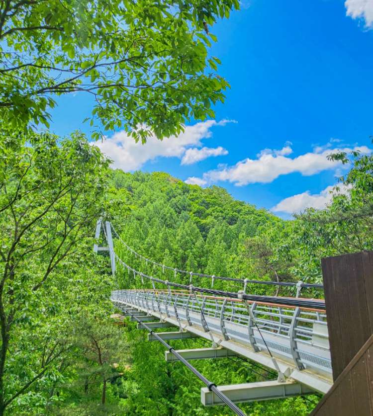 장태산 자연휴양림