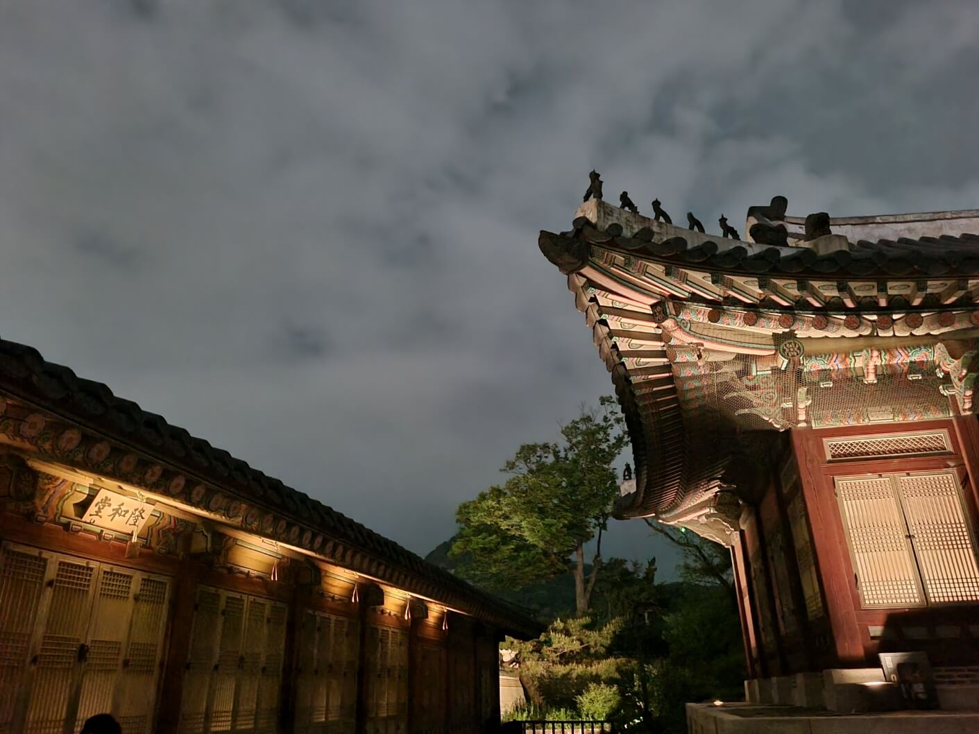 서울 야경 명소 경복궁 야간 개장 관람 후기