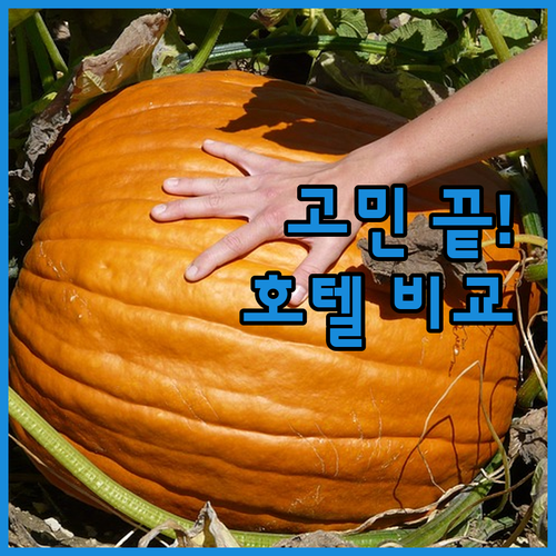 몽생미셸 호텔 고민 끝! 가브리엘, 