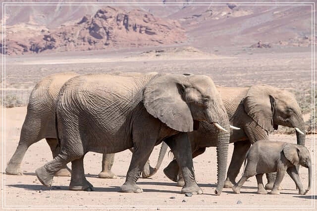 2025년 복지멤버십과 맞춤형급여