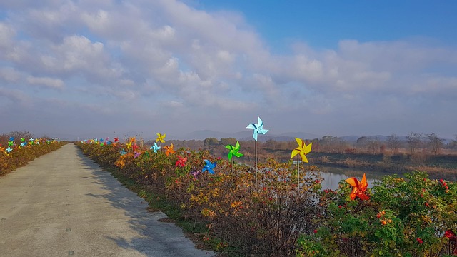공원 산책로