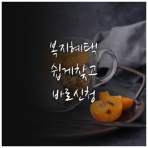 복지로 활용법 혜택 검색부터 신청까지..