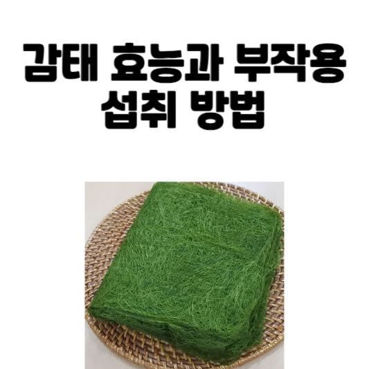 감태 효능과 부작용 및 섭취 방법
