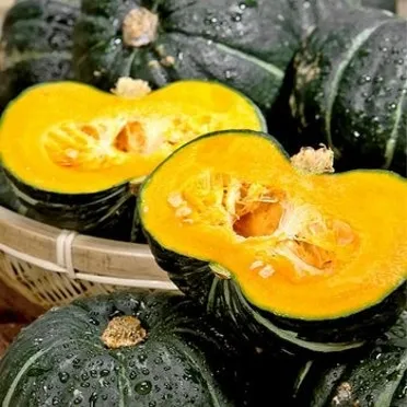 단호박 수확시기와 따는 방법 지역별로 쉽게 알아보는 정보_12