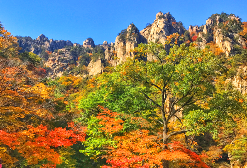 설악산 단풍