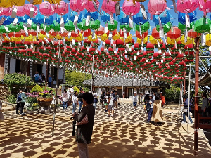 부산 삼광사 연등축제