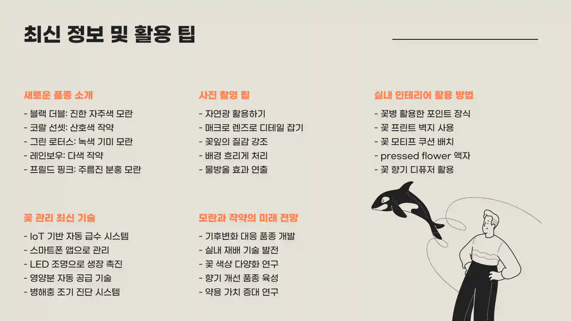 모란꽃과 작약꽃