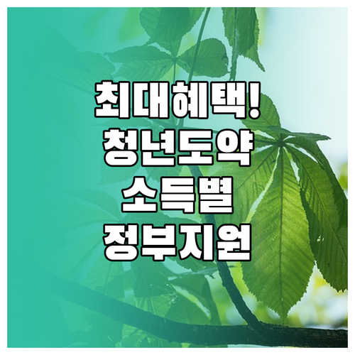 청년도약계좌 소득 구간별 정부 지원금..