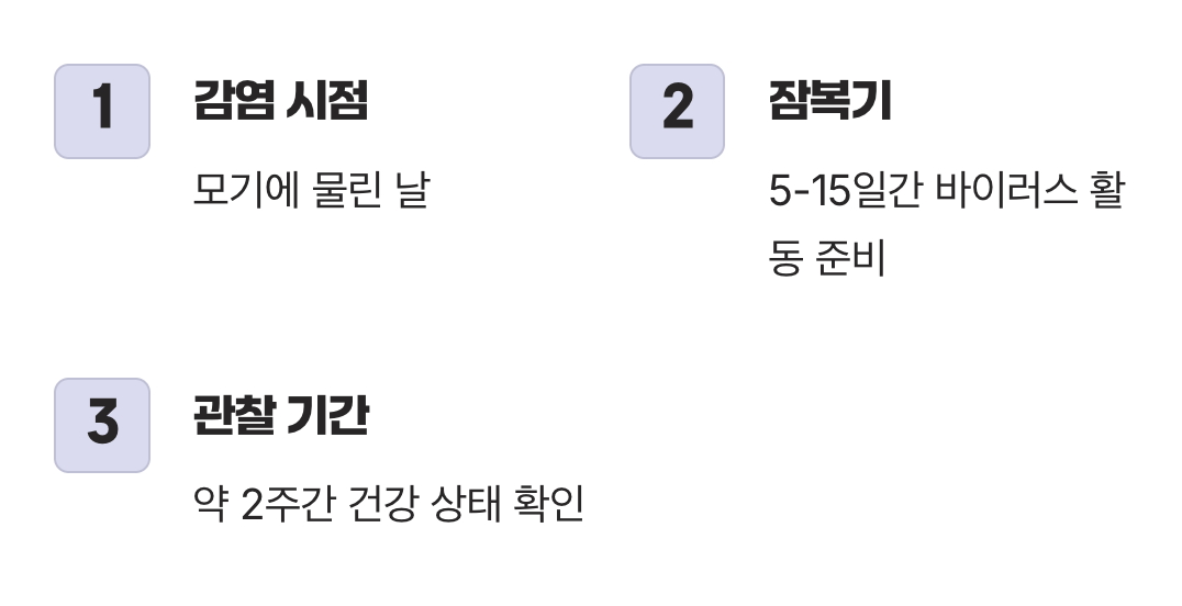 모기 물린 후, 언제까지 지켜봐야 할까?