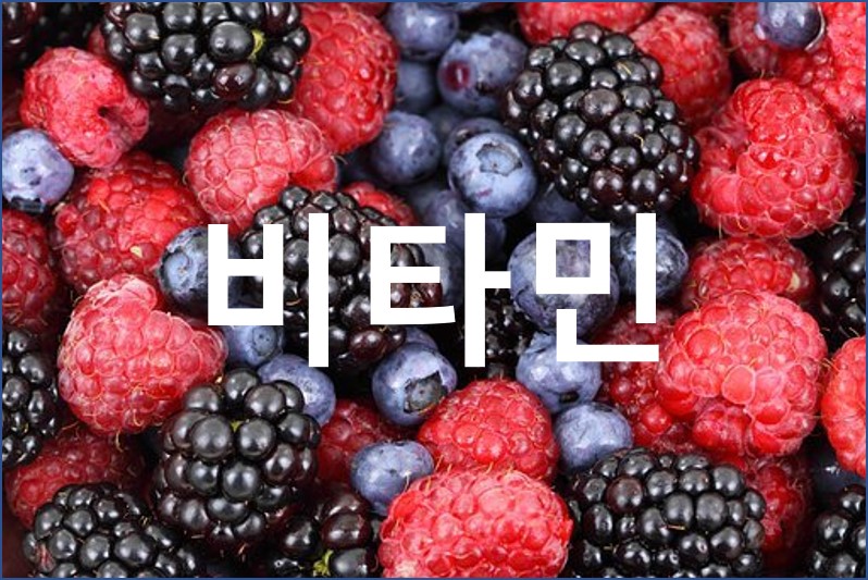 종합비타민