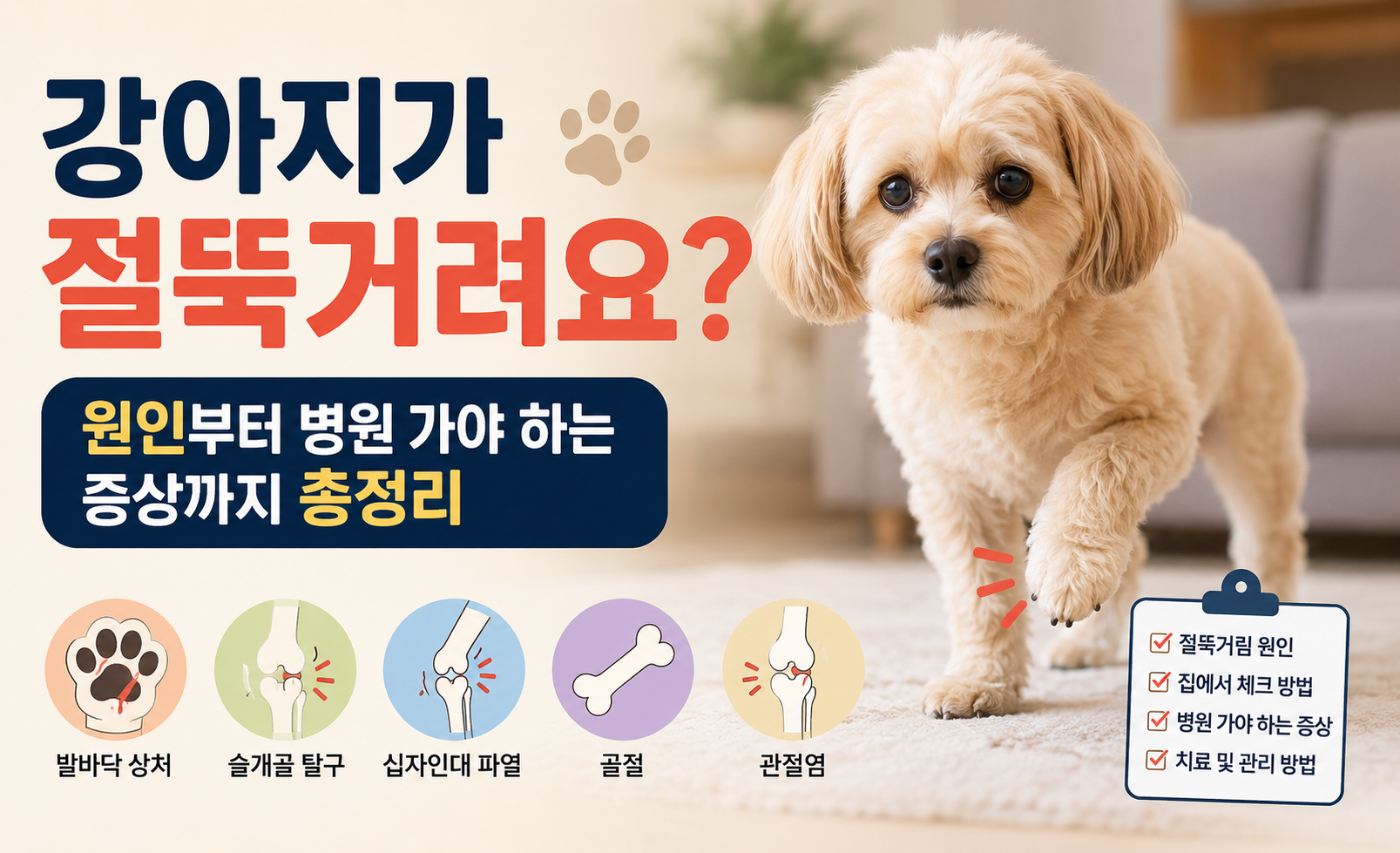 강아지가 절뚝거려요 원인과 병원 가야 하는 증상 총정리 대표 이미지, 강아지 절뚝거림 원인, 앞다리 절뚝, 뒷다리 절뚝, 슬개골 탈구, 십자인대 파열, 골절, 관절염 비교