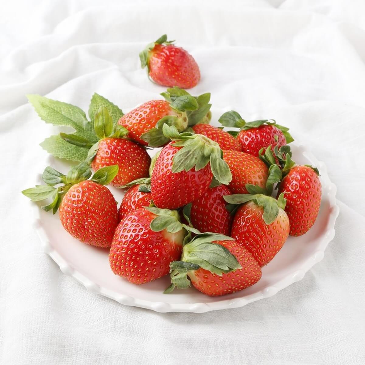 홈플러스 25주년 슈퍼세일 Best 11