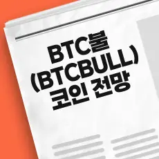 BTC 불 시세 전망