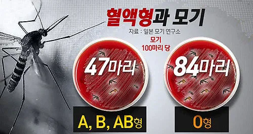 모기 물렸을 때 가려움증 없애는 법 효과적인 민간요법_4