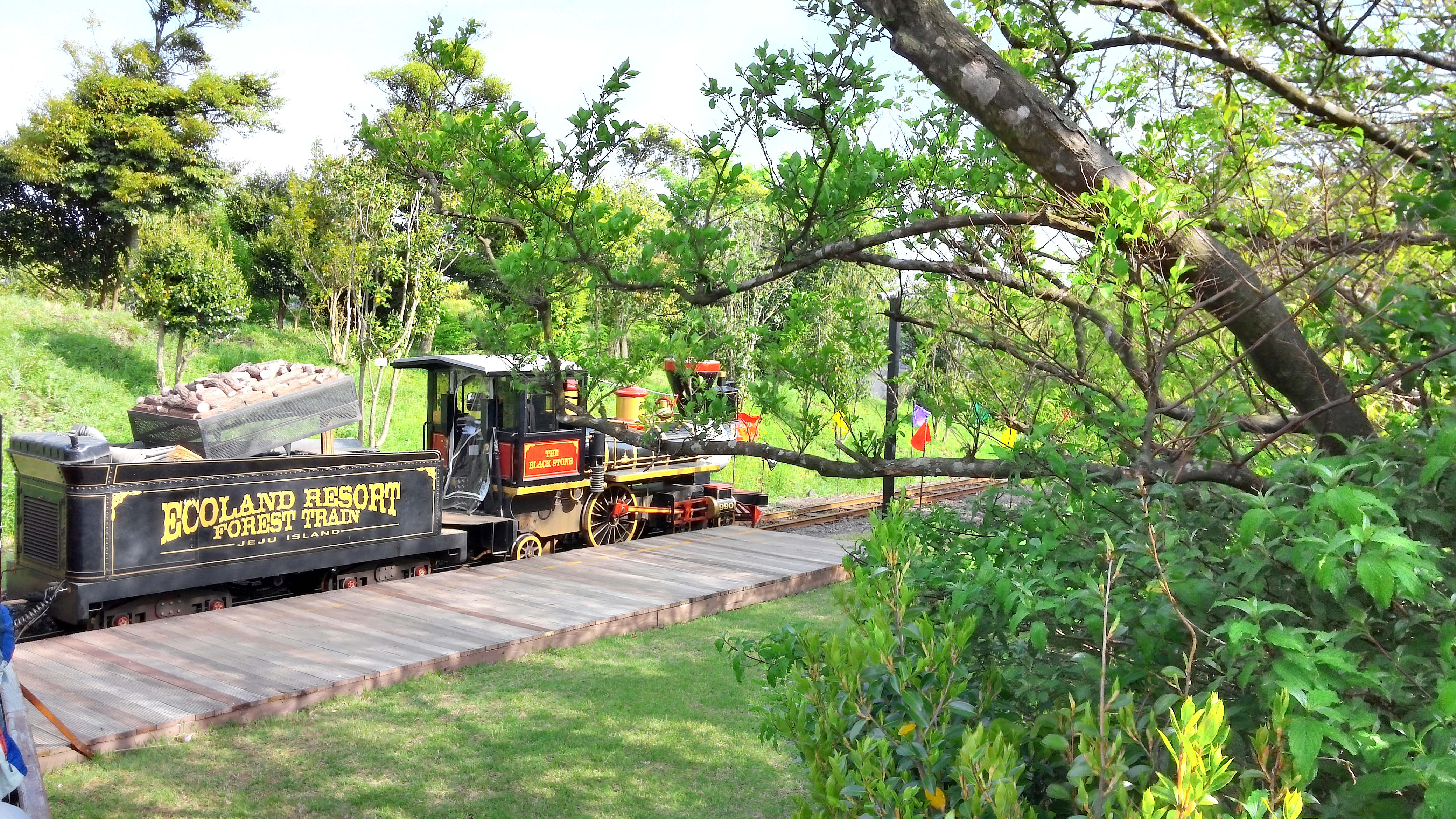 에코랜드테마파크(Eco Land Theme Park)