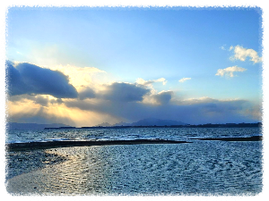 대포 어촌체험마을