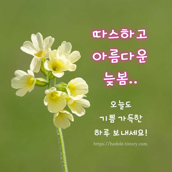 아침인사로 좋은글