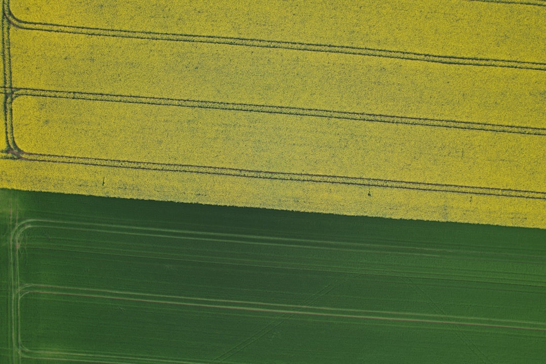 subsidy