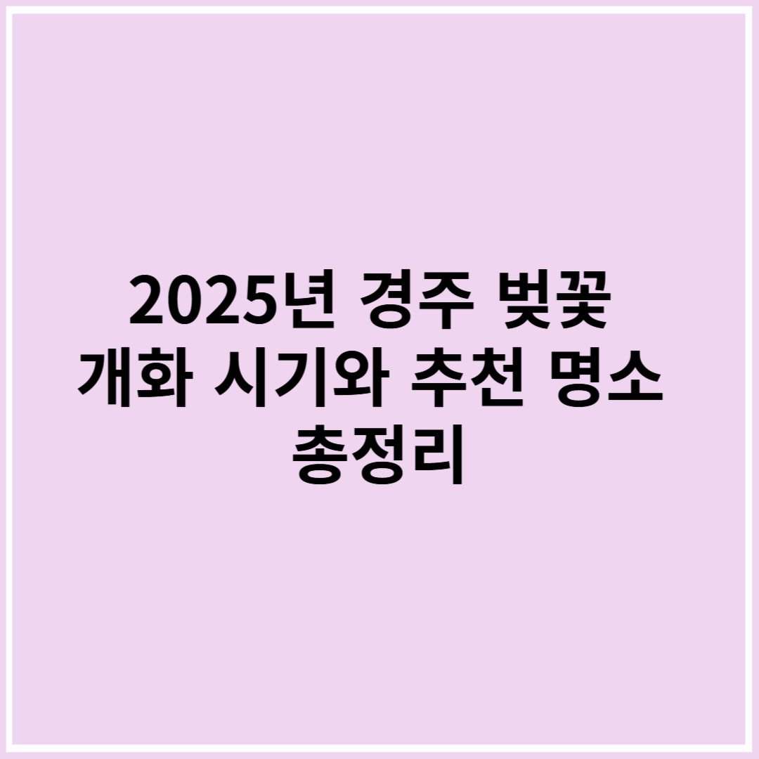 2025년 경주 벚꽃 개화 시기와 추천 명소 총정리