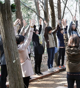 우드랜드
