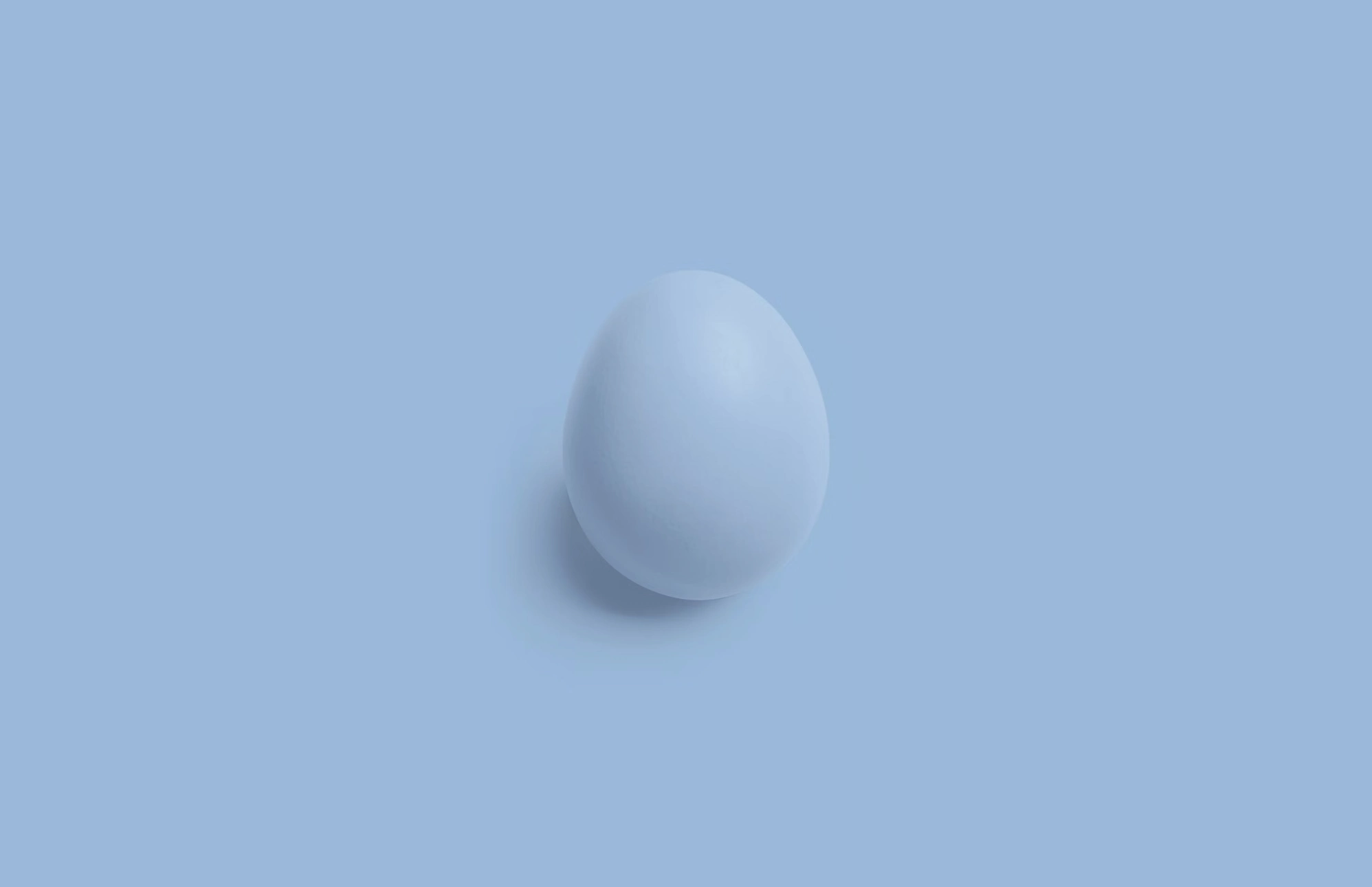 청란 보관법