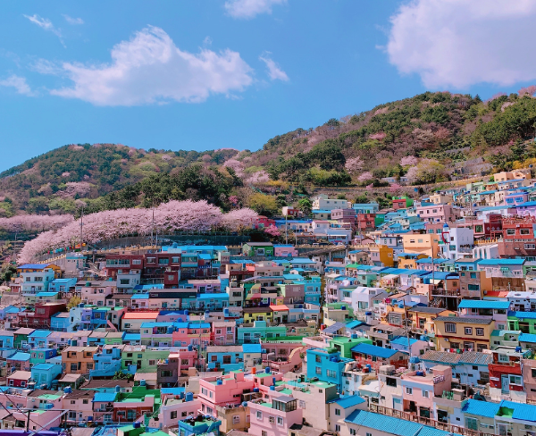 부산 여행지 추천