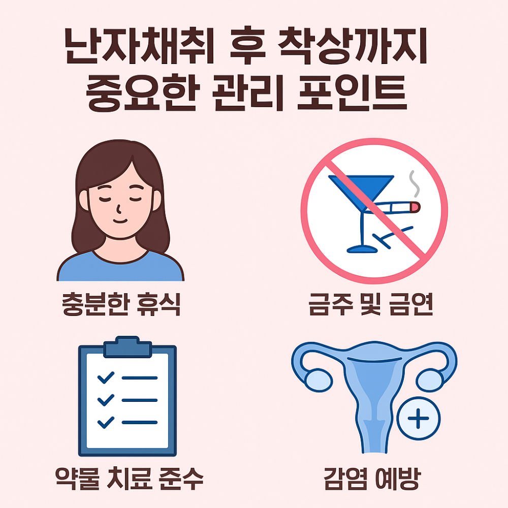 난자채취후 착상까지 중요한 관리 포인트 인포그래픽