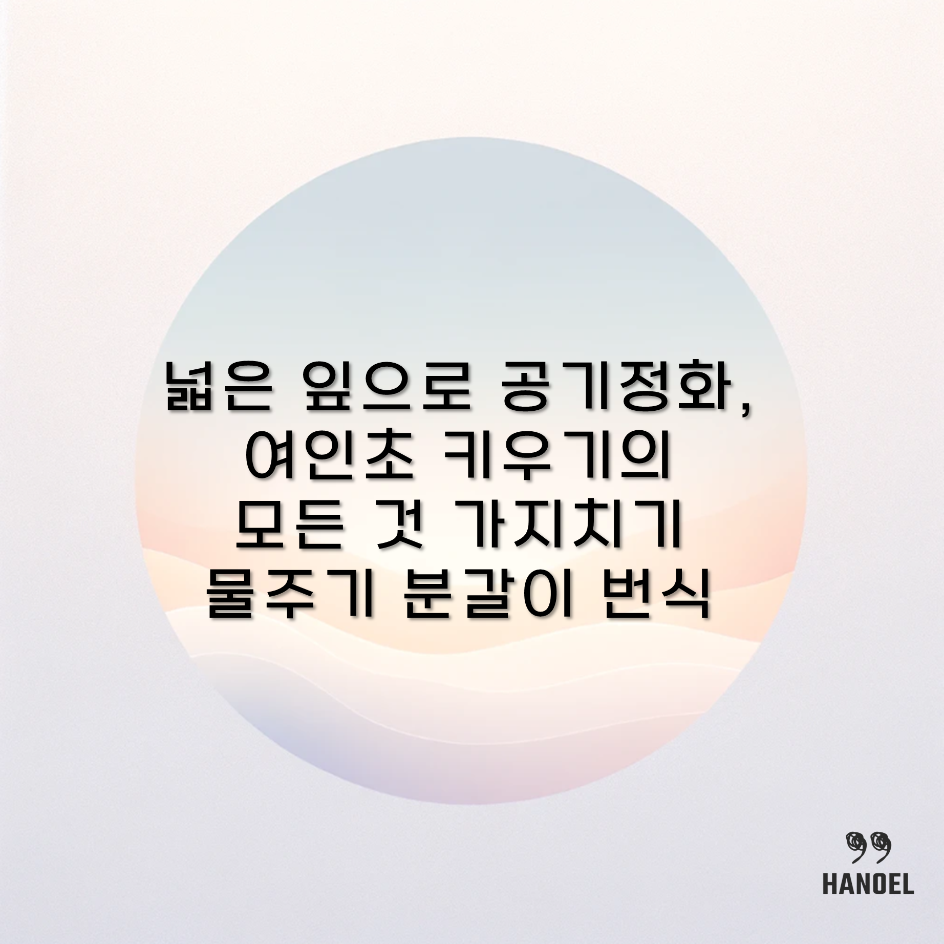 넓은 잎으로 공기정화, 여인초 키우기의 모든 것 가지치기 물주기 분갈이