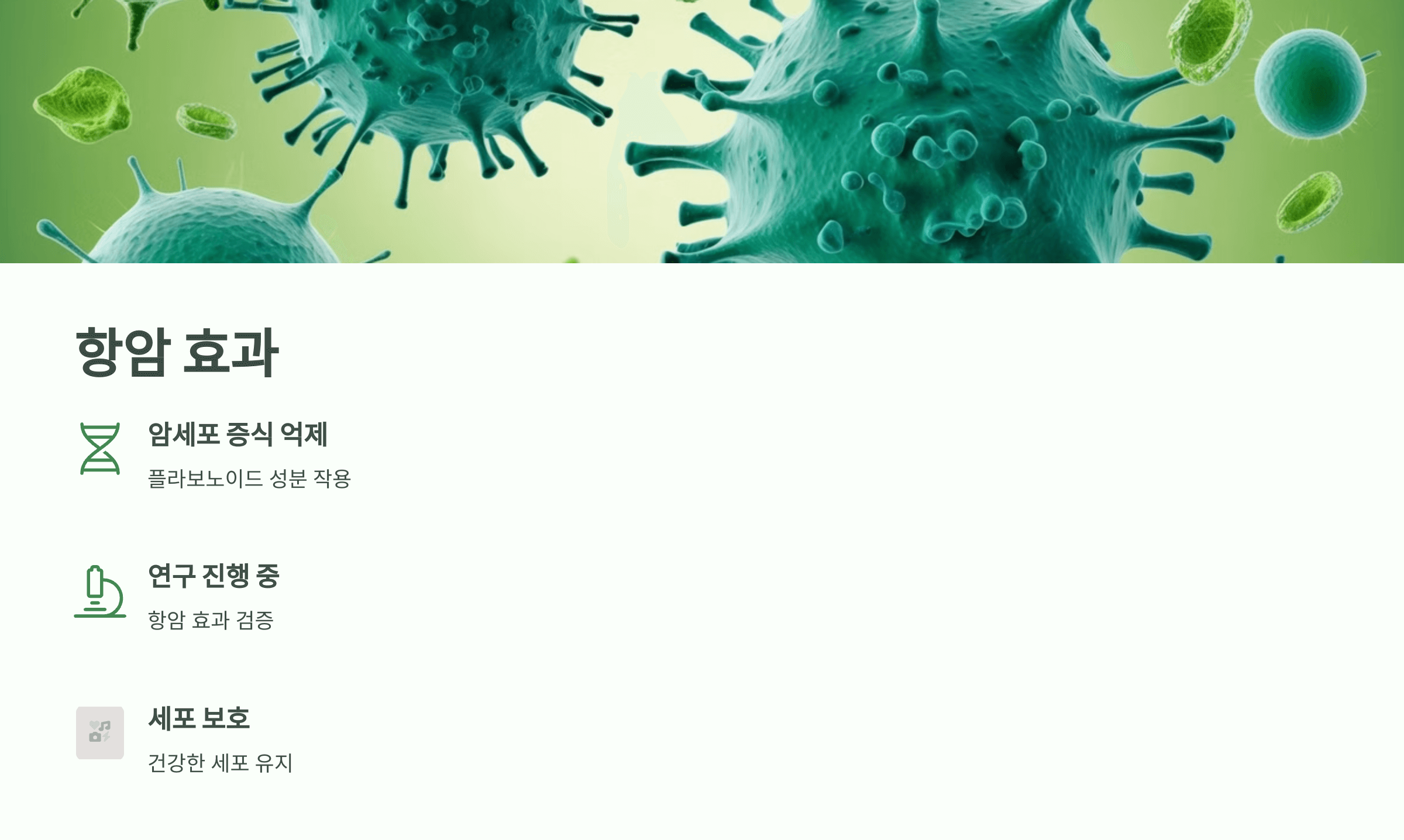 쑥 사진입니다.