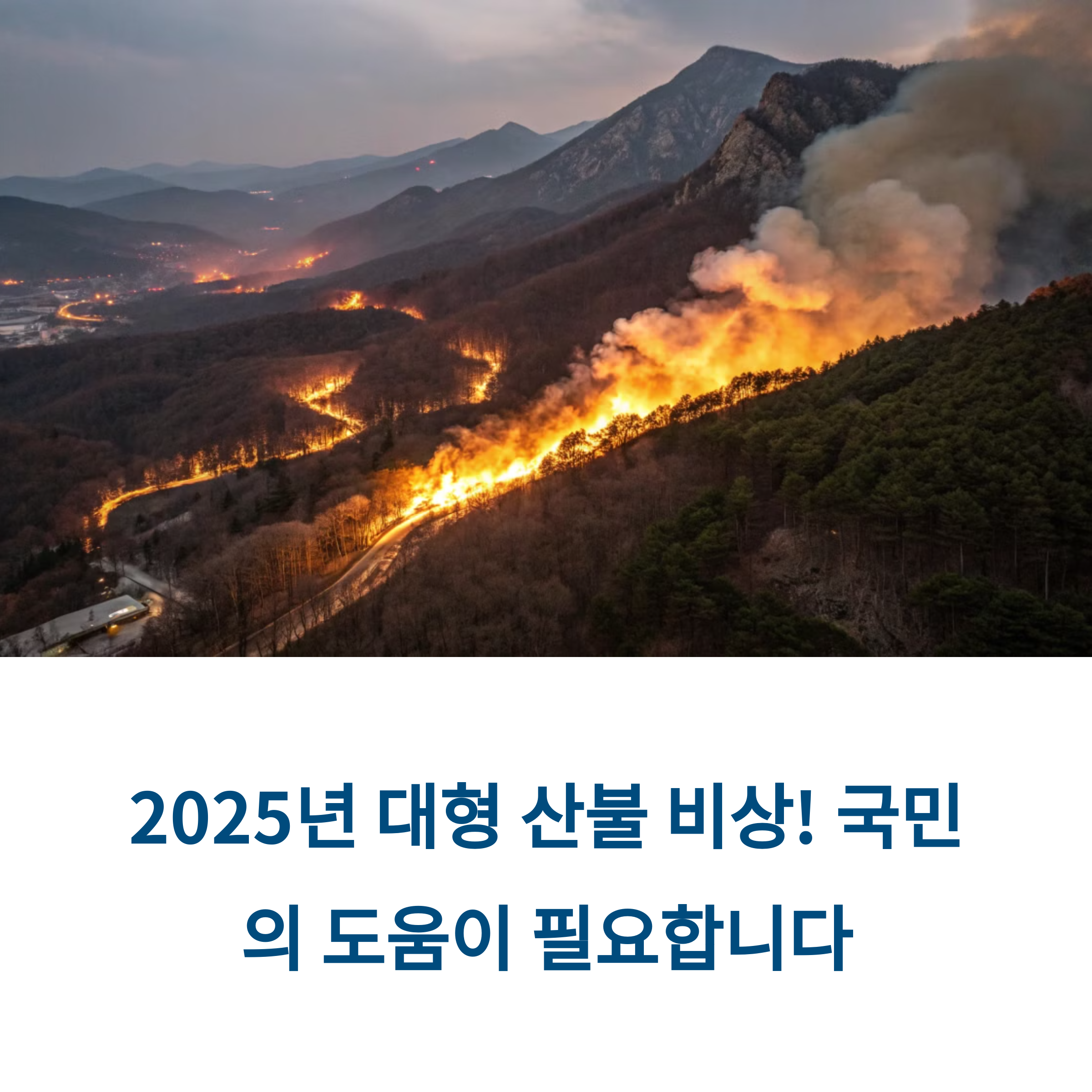 영남 산불 도움