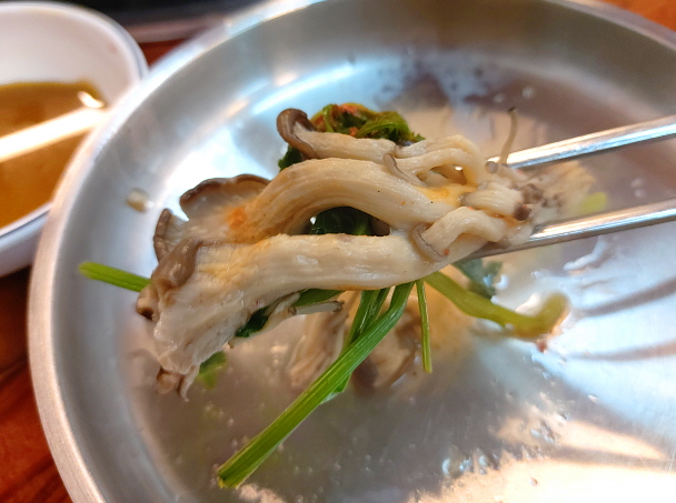 버섯