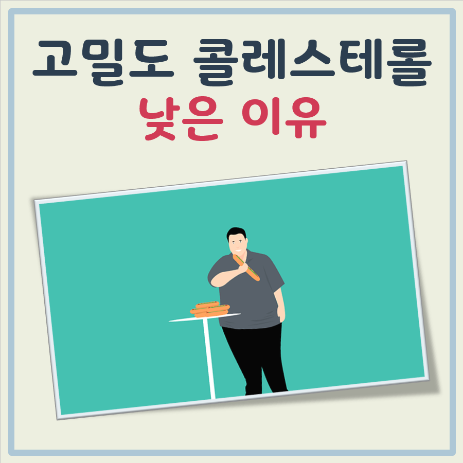 고밀도 콜레스테롤이 낮은 이유
