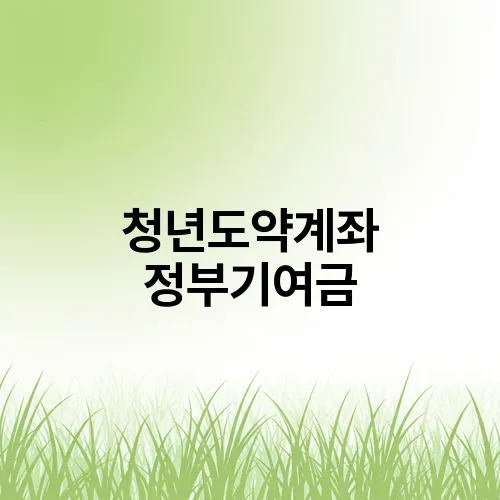 청년도약계좌 정부기여금
