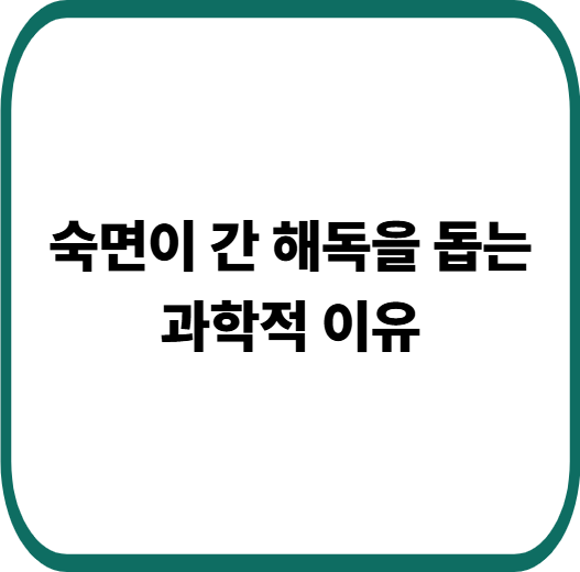 밤마다 간이 회복된다? 수면 부족이 간 손상으로 이어지는 진짜 이유